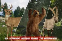 Wild Animal Hunting sniper Shooter Safari 2020 Screen Shot 4