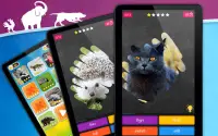 स्क्रैच कार्ड: जानवरों Screen Shot 8