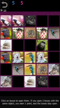 Pairs - train memory and concentration Screen Shot 9