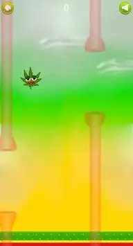 Flappy Weed Game Screen Shot 3