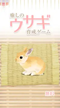 癒しのウサギ育成ゲーム Screen Shot 3