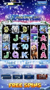 Slot Machine: Bear Slots Screen Shot 3