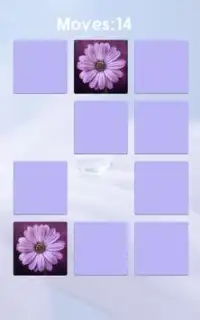 Flower Memory Screen Shot 7