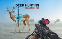 Sniper Wild Animal Hunting 3D Screen Shot 0