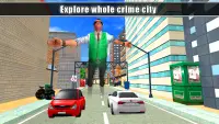 Vegas City Rope Hero - Grand Mafia Crime Simulator Screen Shot 0
