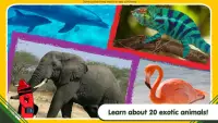 Crayola Colorful Creatures Screen Shot 3