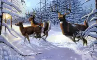 Deer Hunting - 2016 Sniper 3D Screen Shot 3