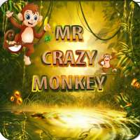 Mr. Crazy Monkey