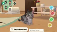 Cat Rescue Story: pets home Screen Shot 6