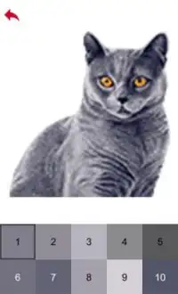 Cute Cats Color by Number - Pixel Art Game Screen Shot 3
