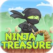 Ninja Treasure
