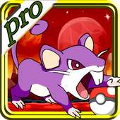 Super Rattata Pro