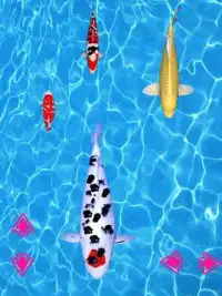 Koi Fishing Game Screen Shot 4