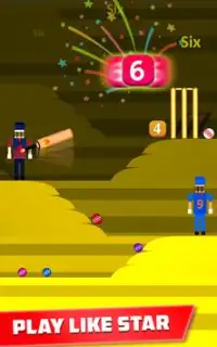 Mr. Bat: The Cricket Game Screen Shot 6