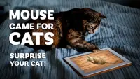 gioco del mouse per i gatti Screen Shot 1
