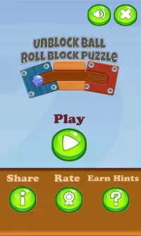 Unblock Ball Roll Block Puzzle Screen Shot 0