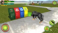 Rottweiler Dog Life Simulator Screen Shot 5