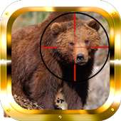 Bear Hunter HD