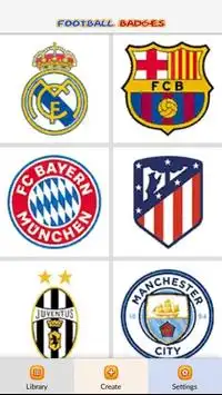 Europe Football Badges Color by Number - Pixel Art Screen Shot 1