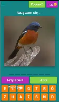 Quiz ptaków Screen Shot 2