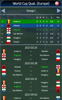 True Football National Manager Screen Shot 2