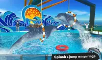 Dolphin Water Stunts Show Screen Shot 9