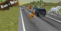 Wild Race in Heavy Traffic Screen Shot 6