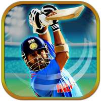 Batsman Cricket Game - Cricket games 2019