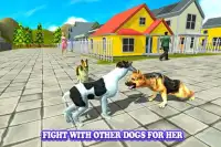 Dog Simulator 2017: Survival Fight Screen Shot 12