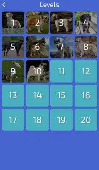 Dog Quiz - Guess the Breed! Screen Shot 4