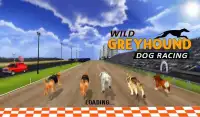 hond van de wild greyhound Screen Shot 15