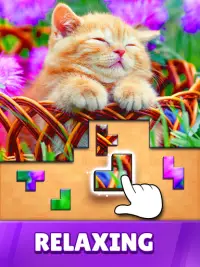 Jigsaw Puzzles Blocks Screen Shot 6