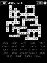 Fill It In Puzzle Screen Shot 7