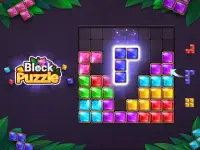 Block Puzzle: Jewel Blast Game Screen Shot 12