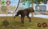 Mastiff Dog Simulator Screen Shot 1