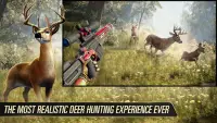 Archery Wild Hunt: Real Sniper Hunting Games 2021 Screen Shot 0