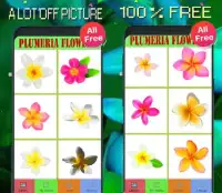 Plumeria Flowers Color By Number-Pixel Art 2020 Screen Shot 5