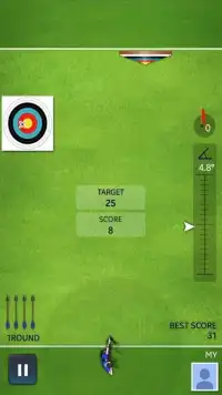 Archery Ace Screen Shot 0