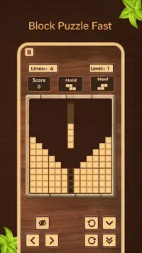 Blockpuz - Wood Block Puzzle Screen Shot 1