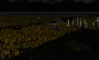 Leo's Flight Simulator Screen Shot 1