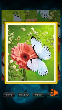 Butterfly Fluttering Puzzle Screen Shot 1