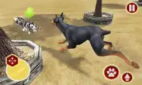 Perro vs gato supervi lucha Screen Shot 4