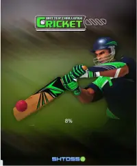 Cricket Batter Challenge Screen Shot 1
