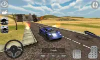 Real Driving Simulator Screen Shot 2