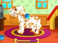 Dogs & Puppies Grooming Salon Screen Shot 0