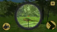 Sniper Hunter: Safari Survival Screen Shot 5