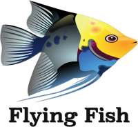 Flying Fish 2019 game