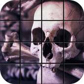 Skull Puzzle Games