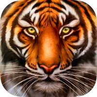 Wild Tiger Survival - Animal Simulator