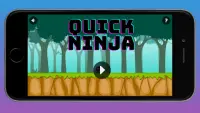 Quick Ninja Screen Shot 0